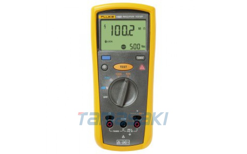 日本Fluke1507 絕緣電阻測試儀