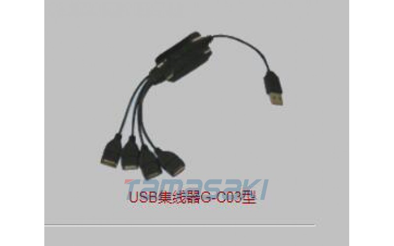 日本USB 集線器 (G-C03)  這是一款USB集線器，將一個USB輸出分成4個端口，可以同時使用4個USB設備。