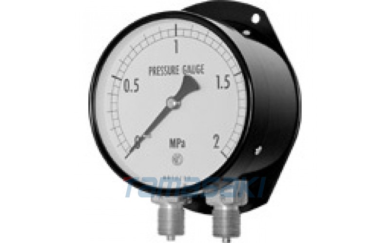 NKS長野計器GD10-511雙針壓力表